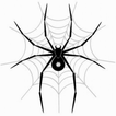 Spider LW