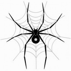 Spider LW icône
