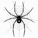 Spider LW Zeichen