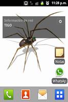 Spider LW screenshot 1