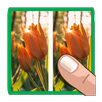 5 Point (Gambar yang berbeza) APK
