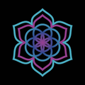 Motion Notion