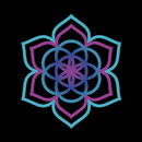 Motion Notion APK