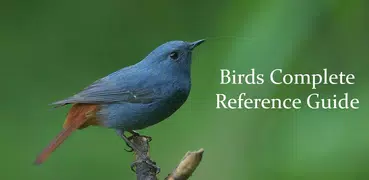 Birds Complete Reference Guide