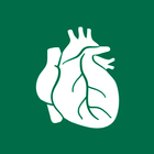 Human Organs Anatomy Reference ikona