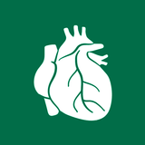 Human Organs Anatomy Reference icon