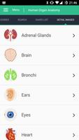 1 Schermata Human Organs Anatomy Reference