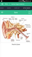برنامه‌نما Human Organs Anatomy Reference عکس از صفحه