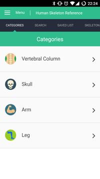 Human Skeleton Reference Guide 海报