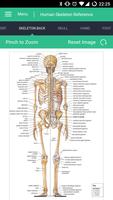 برنامه‌نما Human Skeleton Reference Guide عکس از صفحه