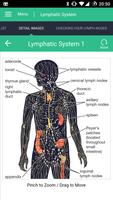 Lymphatic System Reference capture d'écran 1