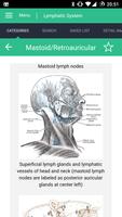 Lymphatic System Reference capture d'écran 3