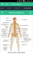 Nervous System Reference Guide اسکرین شاٹ 1