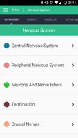 3 Schermata Nervous System Reference Guide