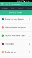 Nervous System Reference Guide تصوير الشاشة 3