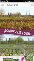 Bonny sur Loire تصوير الشاشة 3