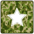 Military Theme