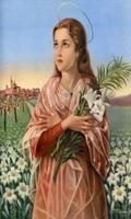 Santa Maria Goretti ảnh chụp màn hình 3