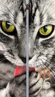 Cat Zipper Lock poster