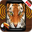 Animal Sound Quiz