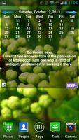 Confucius Calendar Ekran Görüntüsü 3