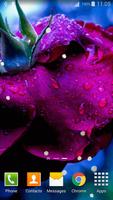 3D Rose Live Wallpaper screenshot 3