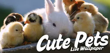 Cute Pets Live Wallpaper