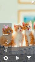Cute Pets Live Wallpaper স্ক্রিনশট 1