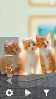 Cute Pets Live Wallpaper اسکرین شاٹ 1