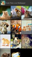 Cute Pets Live Wallpaper اسکرین شاٹ 2