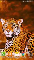 Leopard Live Wallpaper اسکرین شاٹ 3