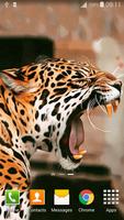 Leopard Live Wallpaper پوسٹر