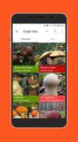 Funghi Italia - Mushroom Book poster