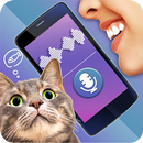 Translator Cat Simulator Joke APK