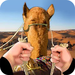 Fahren Sie Kamel in Dubai