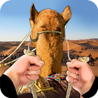 Drive Camel in Dubai آئیکن