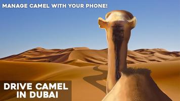 Drive Camel in Dubai capture d'écran 1