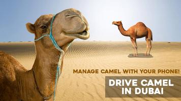 Drive Camel in Dubai syot layar 2