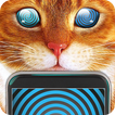 Hypnose Trance Cat Simulator