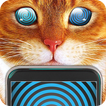 Hypnosis Trance Cat Simulator