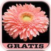 Flores Bonitas APK