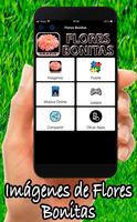 Flores Bonitas poster