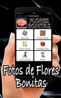 Flores Bonitas screenshot 2