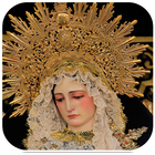 Oraciones Virgen icon