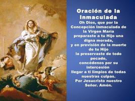 Oraciones Virgen screenshot 3