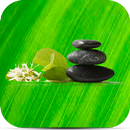 Musica Ambiental APK