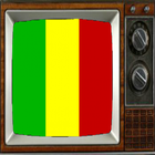 Satellite Mali Info TV icône