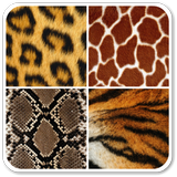Exotic Animal Prints LWP icône