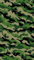 Exotic Camouflage LWP Affiche