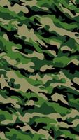 Exotic Camouflage LWP پوسٹر